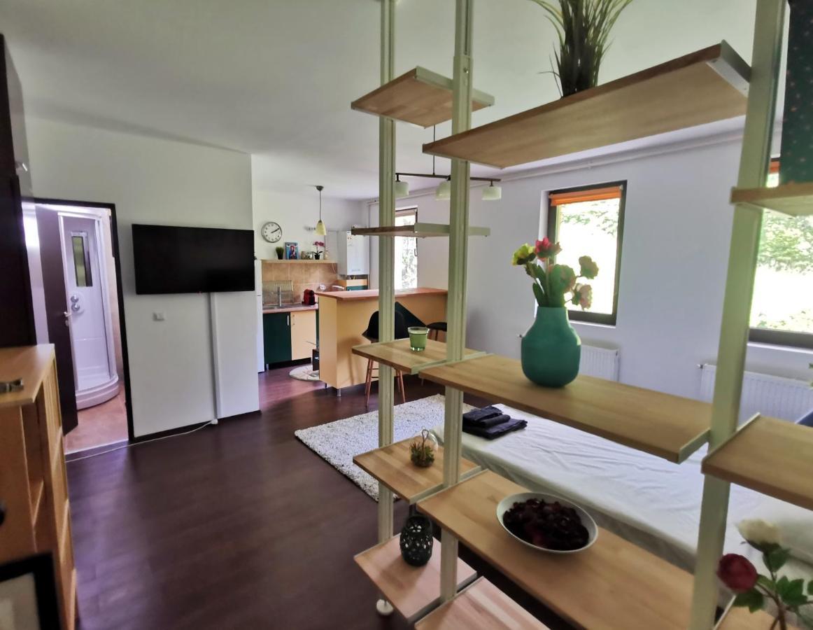 Studio Azuga Dış mekan fotoğraf