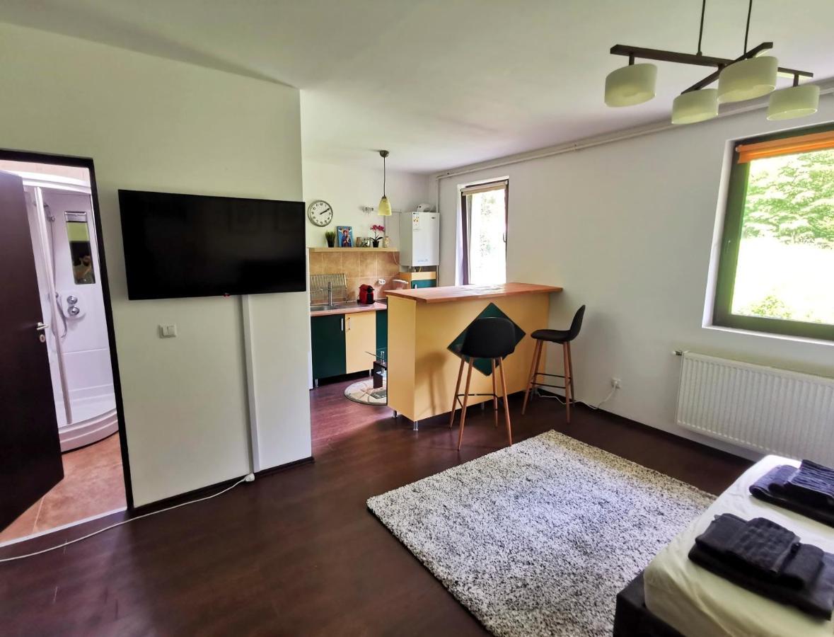Studio Azuga Dış mekan fotoğraf